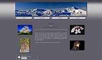 DWeb-Fotos - Startseite